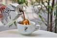 「PHILOCOFFEA」夏のおすすめドリンク＆ギフト