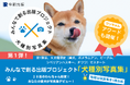 柴犬(豆柴)部門の募集開始!参加費完全無料:2025年度版 みんなでつくる「犬種別写真集」プロジェクト~特賞は愛犬だけの写真集~