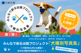 ビーグルだらけの写真集プロジェクト募集開始!2025年度版 みんなでつくる「犬種別写真集」プロジェクト~特賞は愛犬だけの写真集~
