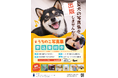 愛犬・愛猫のフォトブックが簡単に出版できる「うちのこ写真集」電子書籍でグローバル展開開始!Kindleで世界中のペット愛好家へ、海外フォロワー獲得のチャンス