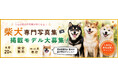 「脱・生成AI」実在のわんこ限定！参加できる出版『犬種別写真集』が「柴犬部門」第2弾のモデル募集を開始！スマホ写真を送るだけで、"うちのこ"がモデルデビュー
