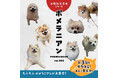 うちのポメラニアンの写真が本として出版される！犬種別写真集シリーズ『ポメラニアンvol.002』発売＆早くも第3弾の募集開始！