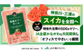 神奈川・三浦のスイカを全国へ。規格外活用のSDGsゼリーJA全農かながわと共同開発し「オフィスでやさい」で展開