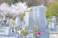 一般墓の「墓じまい(改葬)」をした結果、5割強の人が「心の負担が軽くなった」と感じている!株式会社宙の会が「墓じまい(改葬)」に関する実態調査を実施!
