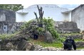 ゴリラの繁殖を目指す千葉市動物公園 本格環境整備に着手