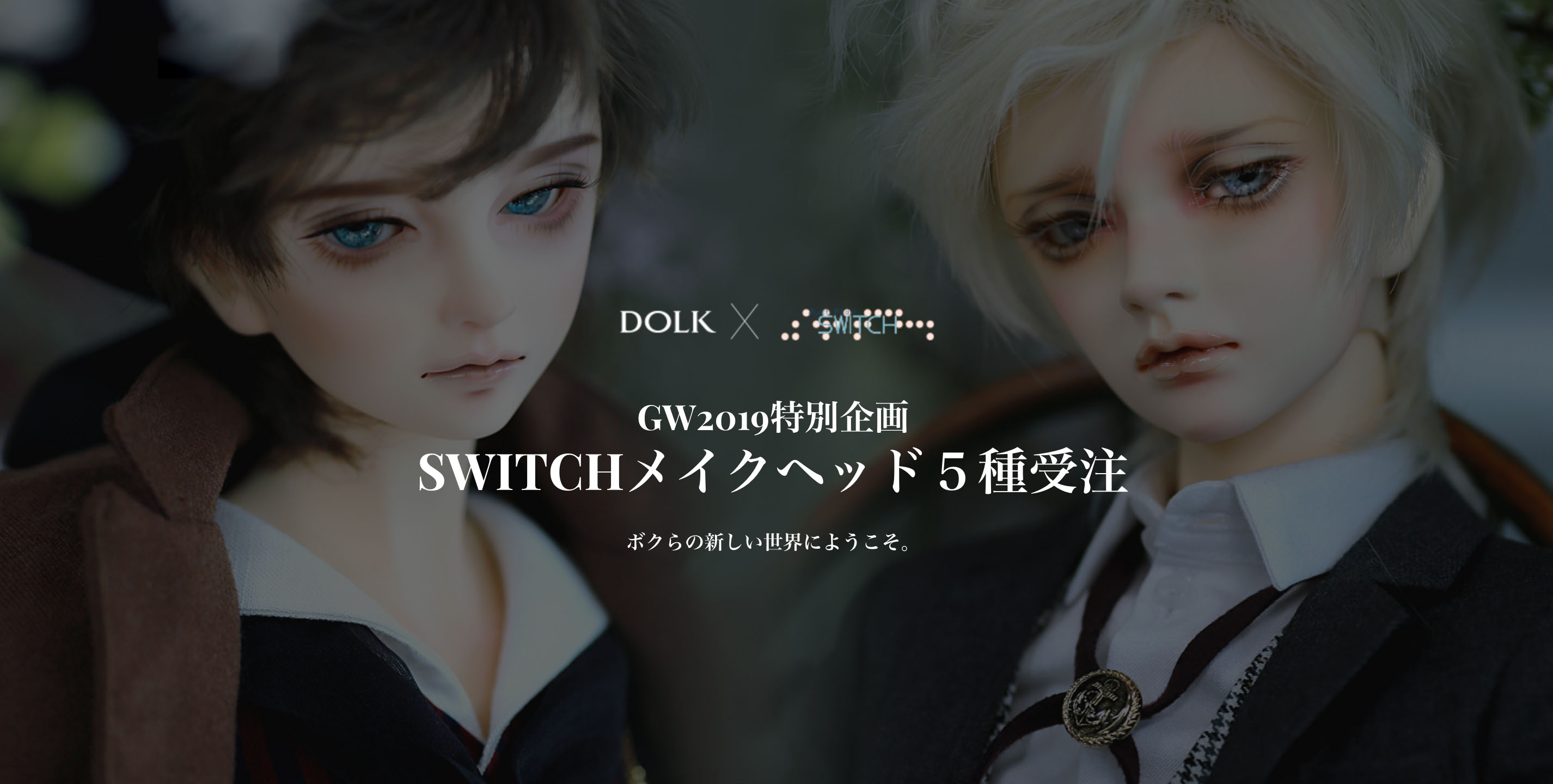 ぬいぐるみswitch doll Ryuzo メイクカスタムヘッド 球体関節人形 sd