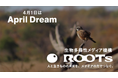 【April Dream】人と生きものの未来を、メディアの力でつなぐ　― メディアと生物多様性の関係を考える対話セッション ―