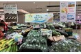 土に炭を、食卓に未来を 『バイオ炭』が育んだ野菜の販売を実施