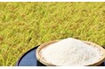 ぐるなびとして初!バイオ炭によるCO2削減に取組む生産者のお米を販売