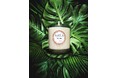 【日本未上陸】フランス領ポリネシア・ボラボラ島初のキャンドルTAHITI CANDLES(タヒチ キャンドルズ)が2024年11月より、Kinscent(キンセント)でオンライン公式販売開始