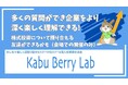【株・個人投資家向けイベント】みんなで楽しく深掘り型IRセミナー&投資家交流会Kabu Berry Lab【11/9 東京 11/2・11/23名古屋等】