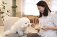 愛犬と”同じ食卓”を囲めるカフェ誕生