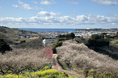 和歌山の梅林がいよいよ見頃に!絶景と香りに包まれる観梅スポットをご紹介