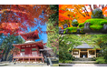 【秋の見どころ】高野山の紅葉と霊宝館秋期企画展