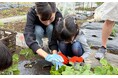 管理栄養士が監修する子ども向け短期「食育」プログラムの提供を貸し農園「シェア畑」が2024年10月から開始!先着20組までを対象に参加者を募集