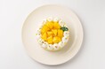 NPO法人AlonAlon(理事長：那部智史、農園：千葉県富津市) は、地元の名店とのコラボレーションにより、栽培期間中農薬不使用の富津産マンゴーを贅沢に使用した”極上スイーツ”を開発しました。