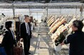農福連携で胡蝶蘭を生産するAlonAlon(理事長那部智史、千葉県いすみ市)と、花と緑のプロフェッショナルとして創業 127 年を迎える第一園芸株式会社との取引がスタートします。