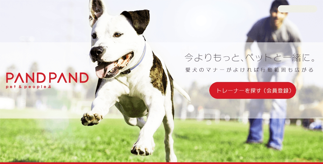 ワンちゃんの飼い主とドッグトレーナーをつなぐマッチングサイト Pand Pand をリリース 株式会社orpのプレスリリース