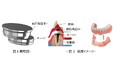 「東京デンタルショー2024」に出展