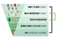 「左右性のゆらぎ」が数千万年の進化を語る~小進化と大進化をつなぐ新たな理論~
