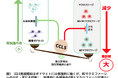 慢性腎臓病が進行するメカニズムの一端を解明~ケモカインであるCCL5の慢性腎臓病における相反する役割を発見~