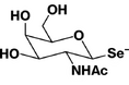 生体必須微量元素セレンを安全に貯蔵・輸送する新たなメカニズムを発見 ― "セレン糖"がセレン輸送・貯蔵の鍵分子に ―