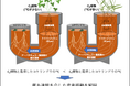 菌糸ネットワークを介した植物間の炭素移動を栽培実験で実証　―菌類を介した「植物間のエネルギー分配」の解明へ―
