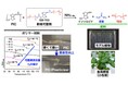 使用後に肥料へ変換できるプラスチックの“柔らかさ”を自在に制御～ ポリマーと可塑剤の両方を肥料化できる循環型プラスチックを開発 ～