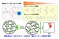 「壊れやすさ」を設計して、壊れにくいエラストマーへ ～ ロタキサン型「犠牲結合」の切れやすさを制御する新たな材料設計 ～