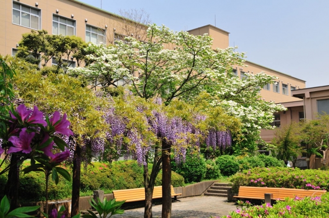 千葉大学亥鼻キャンパス看護学部中庭