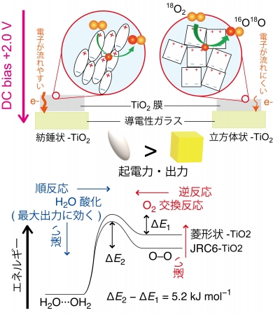 図 2　形状とサイズを制御したTiO2膜のインピーダンス測定と分極率との関連（上）および18O2（※18は上付き）ガスとTiO2膜表面の酸素原子との交換における反応の起こりやすさについてのエネルギー図（下）。