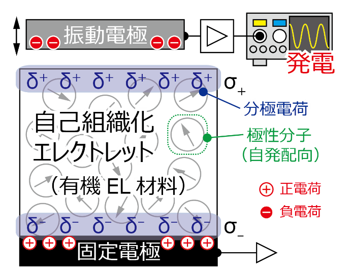 荷電処理が一切不要なエレクトレット型振動発電素子を開発 有機el材料で自己組織化エレクトレットを実現 国立大学法人千葉大学のプレスリリース