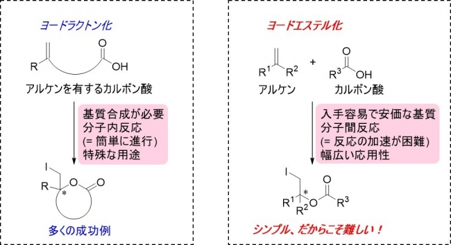 図２　ヨードラクトン化とヨードエステル化。いずれもヨウ素を使用したハロエステル化であるが、ヨードエステル化は、アルケンとカルボン酸の異なる分子間での反応を促進する必要があり、その為の高度な立体構造認識とその制御が極めて難しく、成功例がなかった。