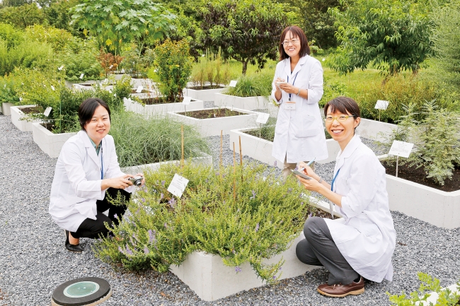 300種類以上の薬用植物がある「薬草園」