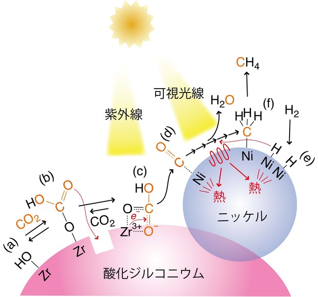 図2 (a)酸化ジルコニウム表面の水酸基、(b)(c)CO2がHCO3として吸着、(d)光で触媒上に生じた電子によりHCO3から一酸化炭素（CO）が発生、(e) H2がニッケル上で原子状Hとして吸着、(f)光から変換された熱でメチル種からCH4が発生