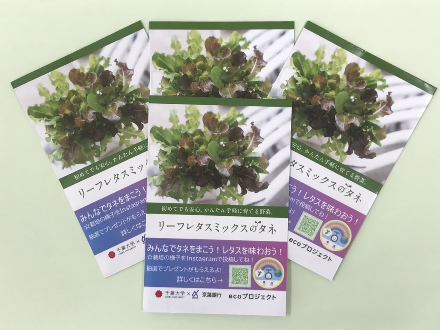 おうち時間に親子で園芸体験を 千葉大生がレタスの種を千葉市動物公園で配布します 国立大学法人千葉大学のプレスリリース