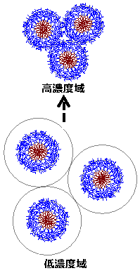 図1：高分子ミセルの概念図