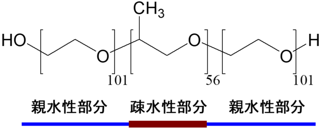 図2：ポロキサマー407の化学構造。親水性・疎水性部分の色分けは図1と対応