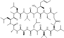 図3：シクロスポリンAの化学構造。11個のアミノ酸から構成される