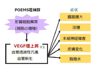 世界初 クロウ 深瀬 Poems 症候群 の治療薬としてサリドマイドが承認されました 国立大学法人千葉大学のプレスリリース