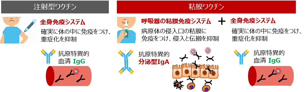 塩野義製薬と千葉大学病院が共同研究部門 「ヒト粘膜ワクチン学部門