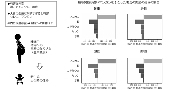 妊婦の血中元素濃度と新生児の出生時の体格について 子どもの健康と環境に関する全国調査 エコチル調査 国立大学法人千葉大学のプレスリリース 妊婦の血中元素濃度と新生児の出生時の体格について 子どもの健康と環境に関する全国調査 エコチル調査 国立大学法人千葉大学のプレスリリース