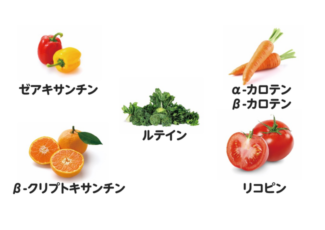 図2. 各カロテノイドが多く含まれる野菜・果物