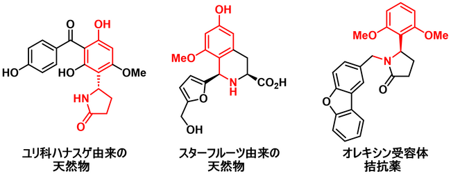 図2．フェノールとイミンのパラ位選択的反応から合成できる化合物