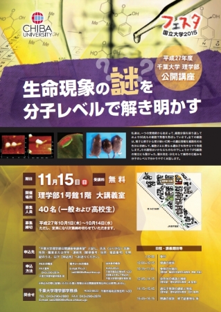 チラシ