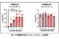 肝脂肪滴中のコレステロールが脂肪肝の進行を引き起こす鍵を握ることを解明~新たな治療戦略として注目される「肝脂肪滴コレステロール」の抑制~