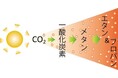 CO2をCO、メタン、エタン、プロパンへ〜光の強さを変えて自在に生成物を生み出す