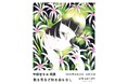 8月22日(金)より、宇都宮なおによる個展「散る花など知る由もなし」を開催!
