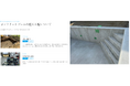 手に届く贅沢を|水を楽しむ文化の拡大を目指す「ISLAND POOL」がサービスサイトをオープン