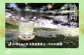 Shizuoka Matcha Therapy「J-StarX女性起業家コース」に採択。静岡発の日本茶とAIで、アメリカのウェルネス市場に挑戦